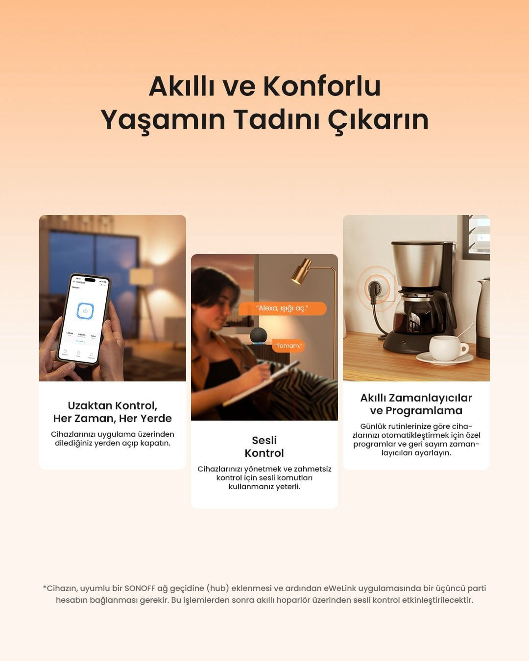 SONOFF S60 ZigBee Akıllı Priz